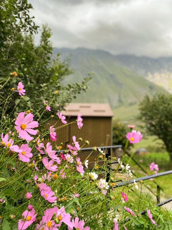 My Space Kazbegi Ngoại thất bức ảnh